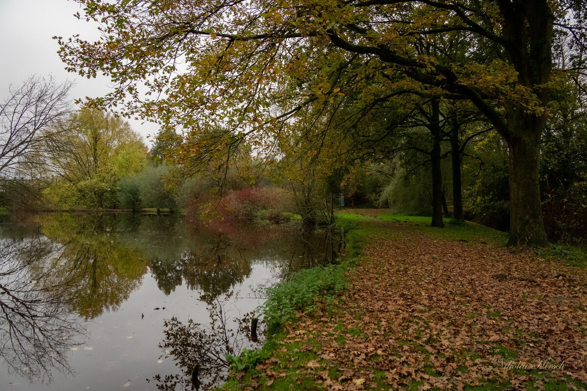 *** - Николай Гирш