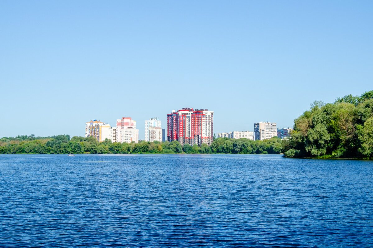 ------- - Галина Ложечникова