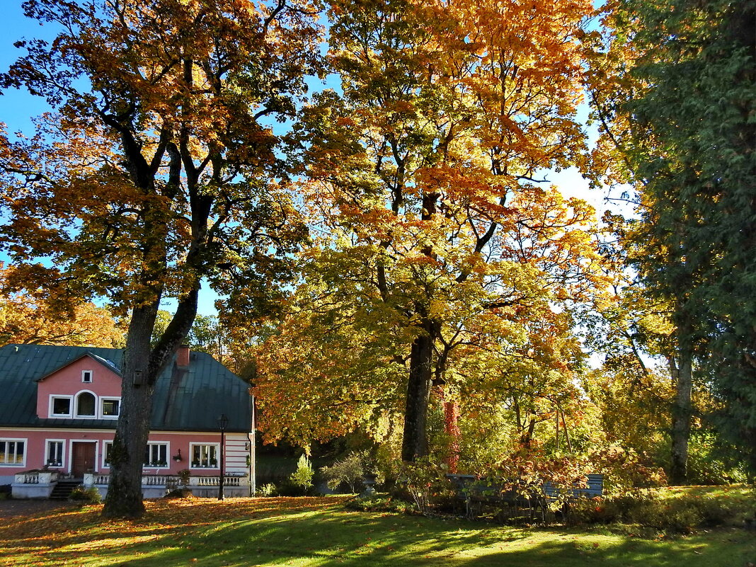краски осени - ИННА ПОРОХОВА