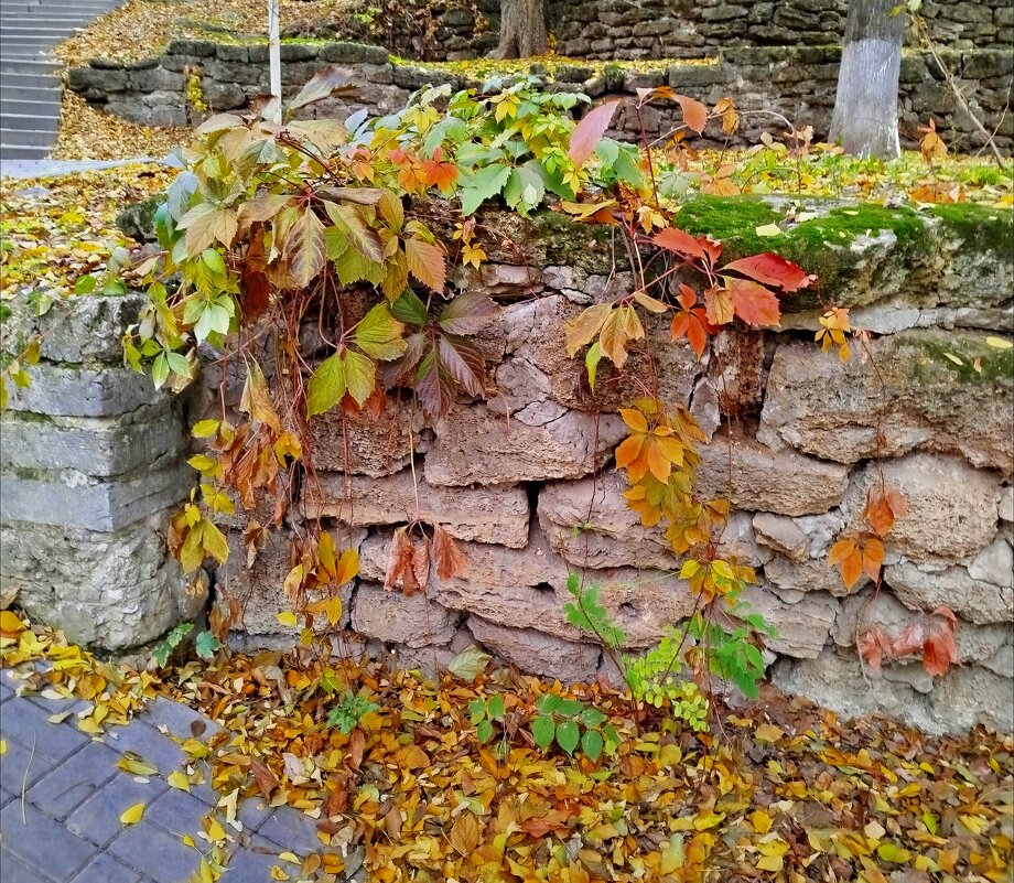 Осенние гирлянды! - Надежда 