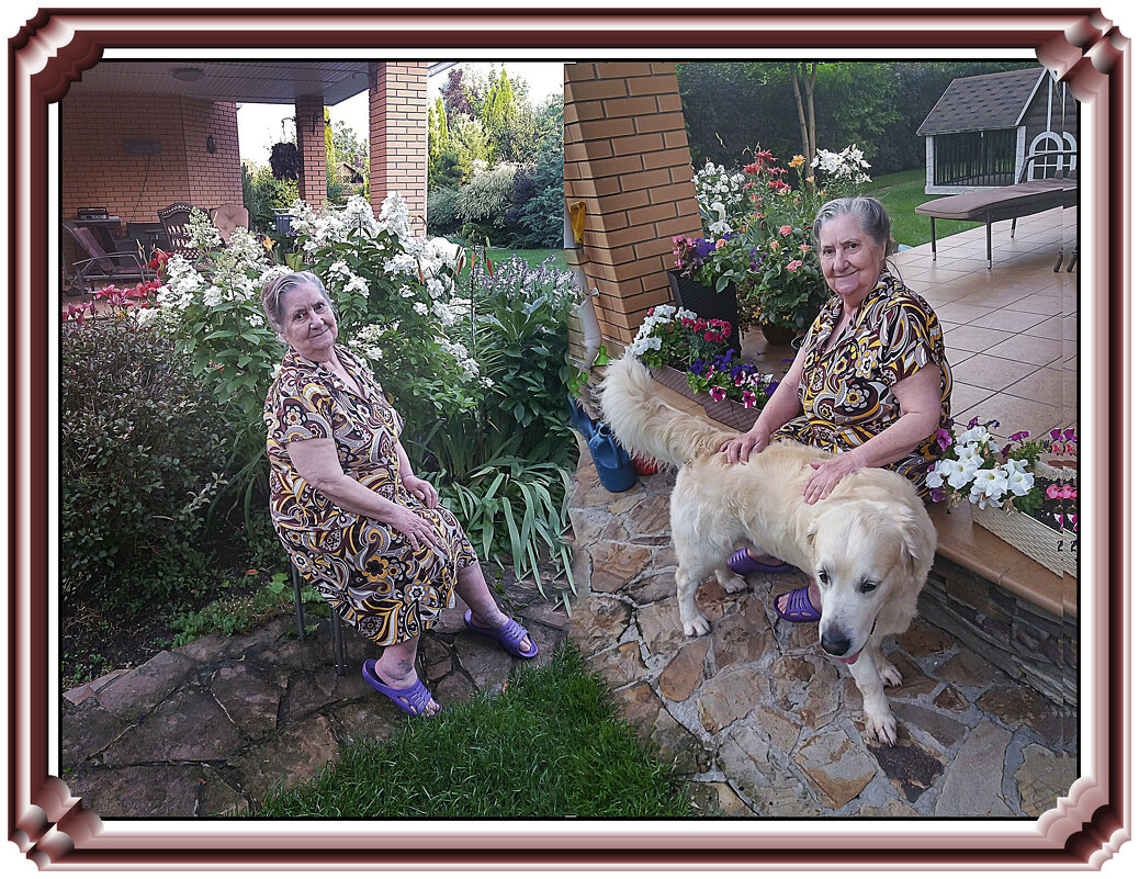 Зарисовка с собакой - Владимир Кроливец