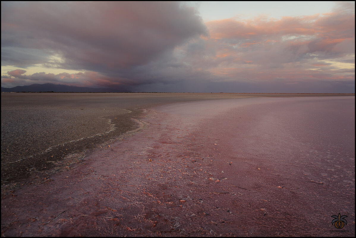 Totally Pink - алексей афанасьев