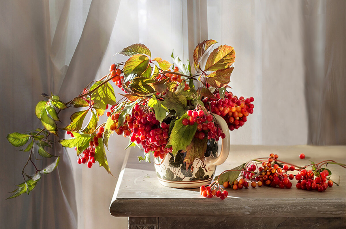 Калина. - Bosanat 