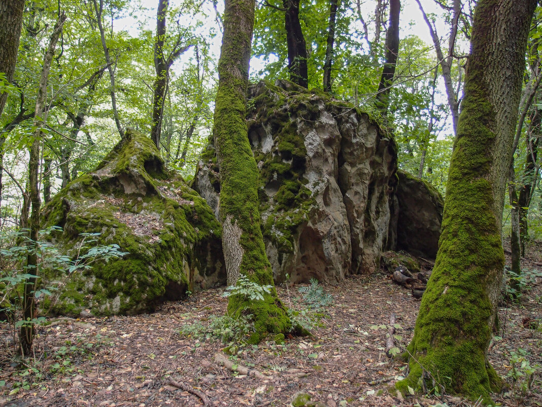 В окрестностях Железноводска - Александр Алексеев