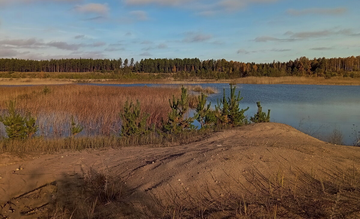 Осенние зарисовки .. - Татьян@ Ивановна