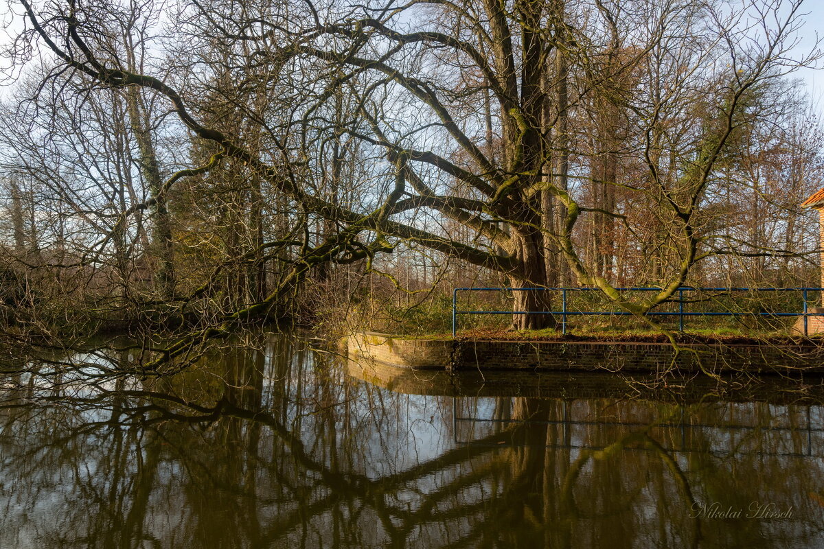 *** - Николай Гирш