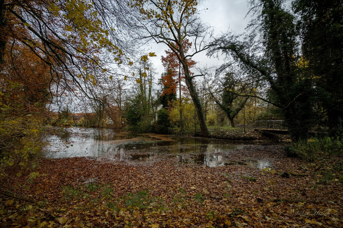 Осень пришла... - Николай Гирш