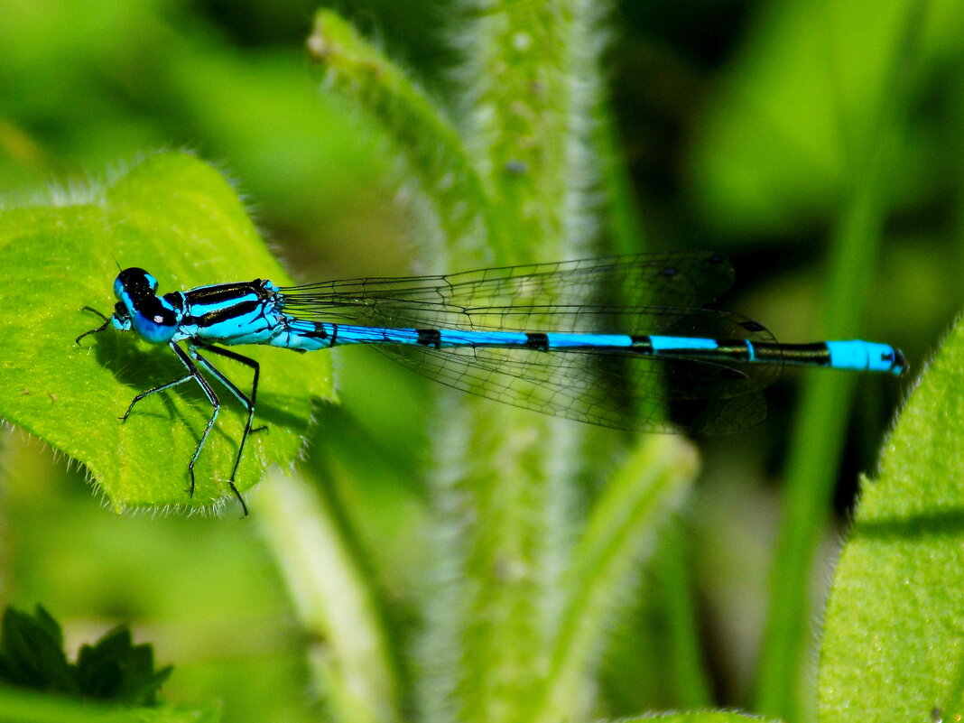 Стрелка - Константин Штарк