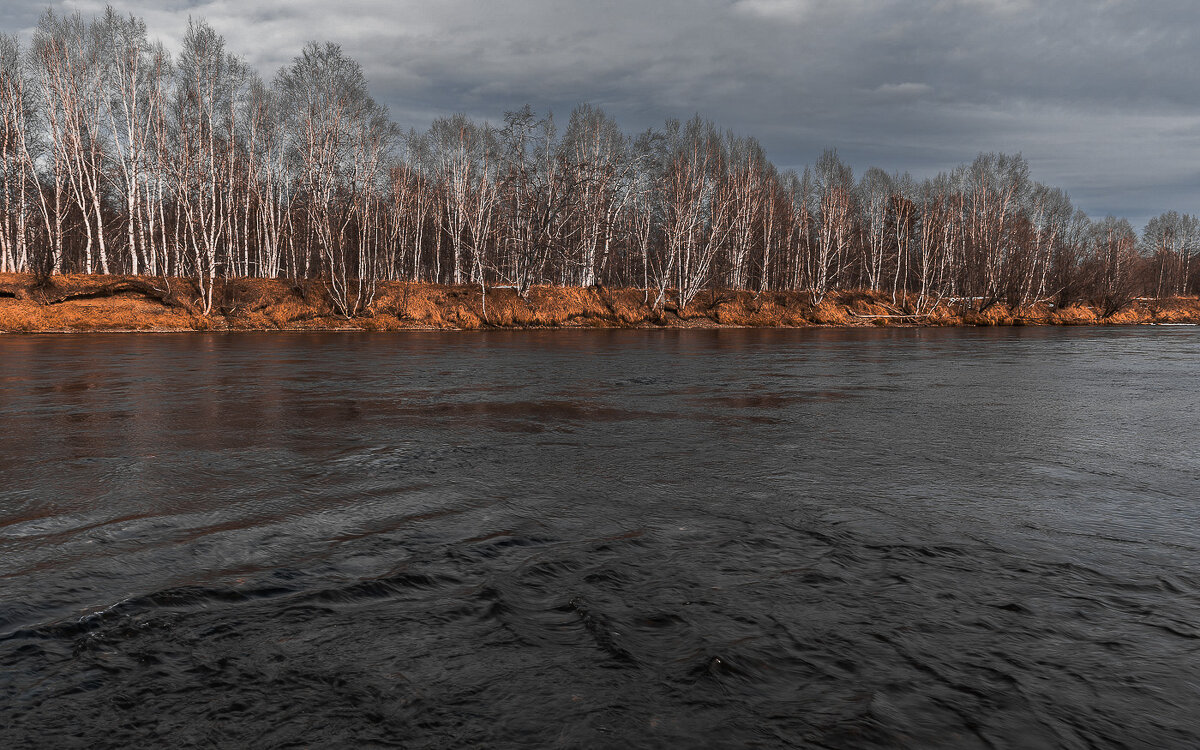 ... - Жора Житников