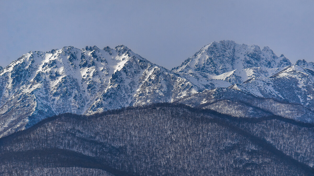 ... - Жора Житников