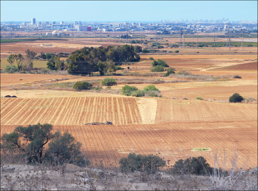 И один трактор в поле воин!.. - Валерий Готлиб