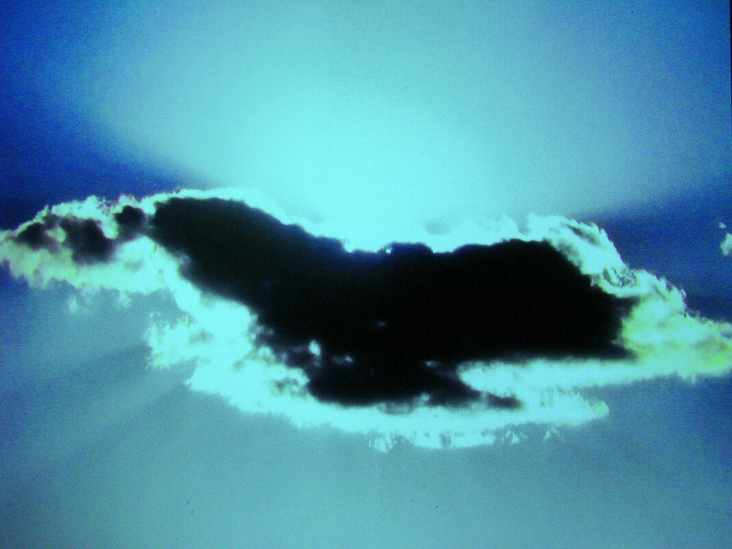 Словно птица летит - Людмила Смородинская