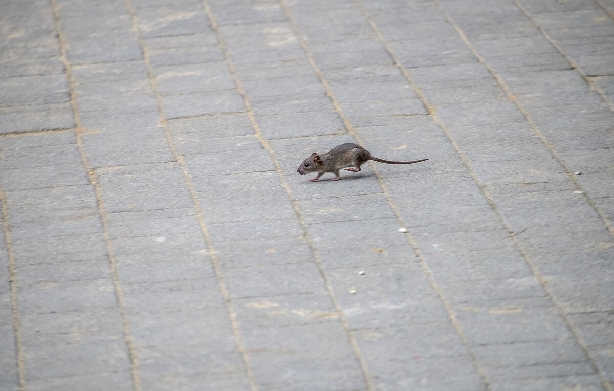 Промчался мимо - Валерий Иванович Промчался мимо - Валерий Иванович