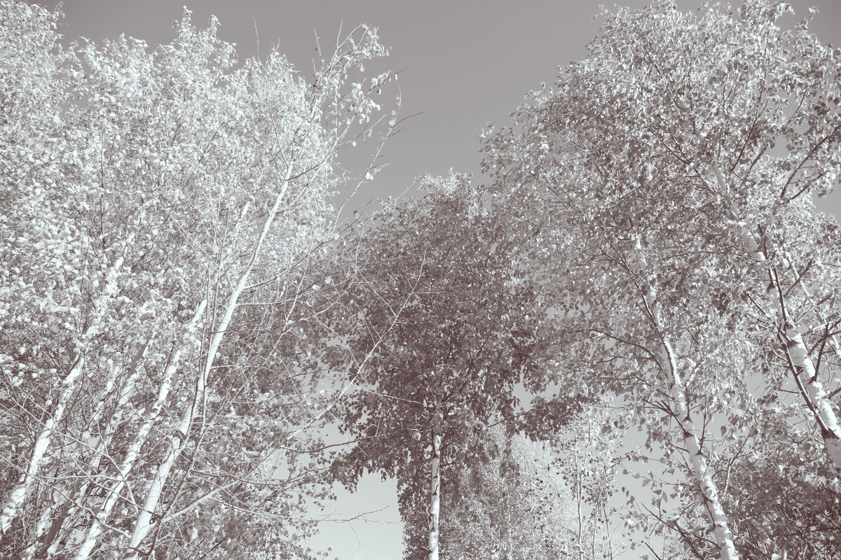 Фотография - Денис Безногов