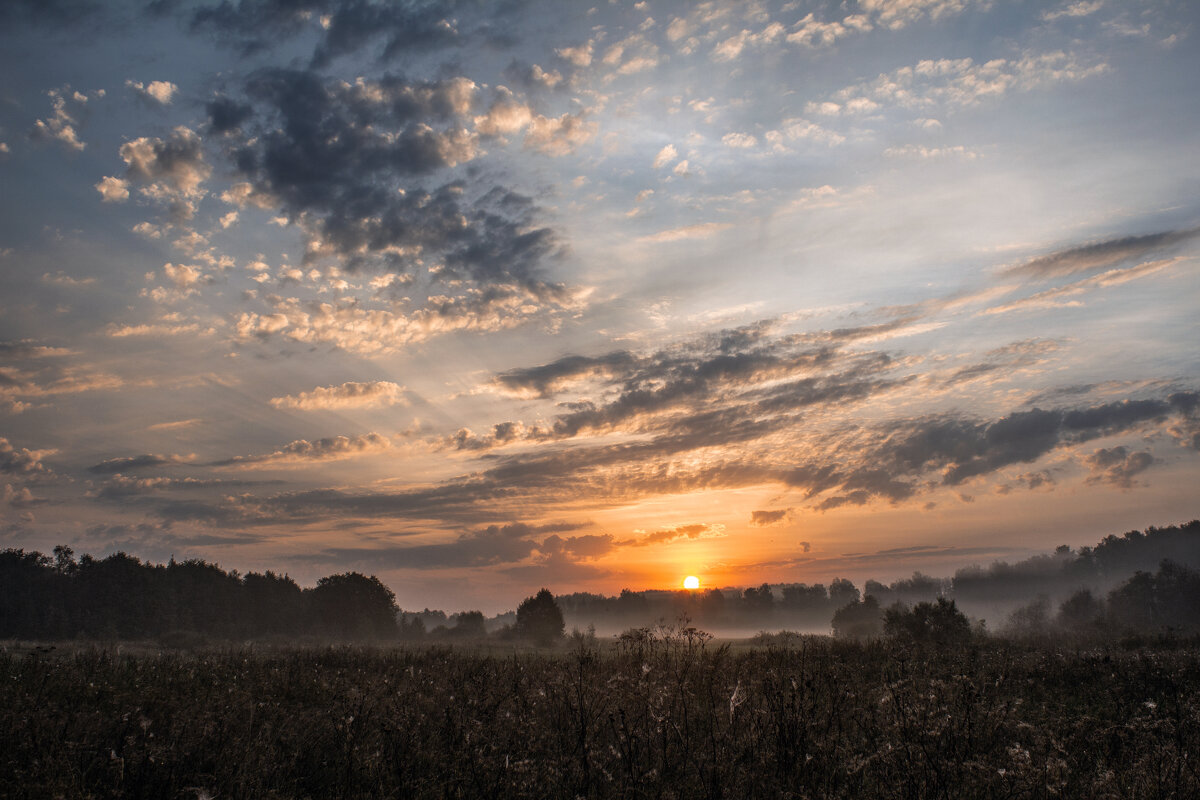 Утро. - Александр 