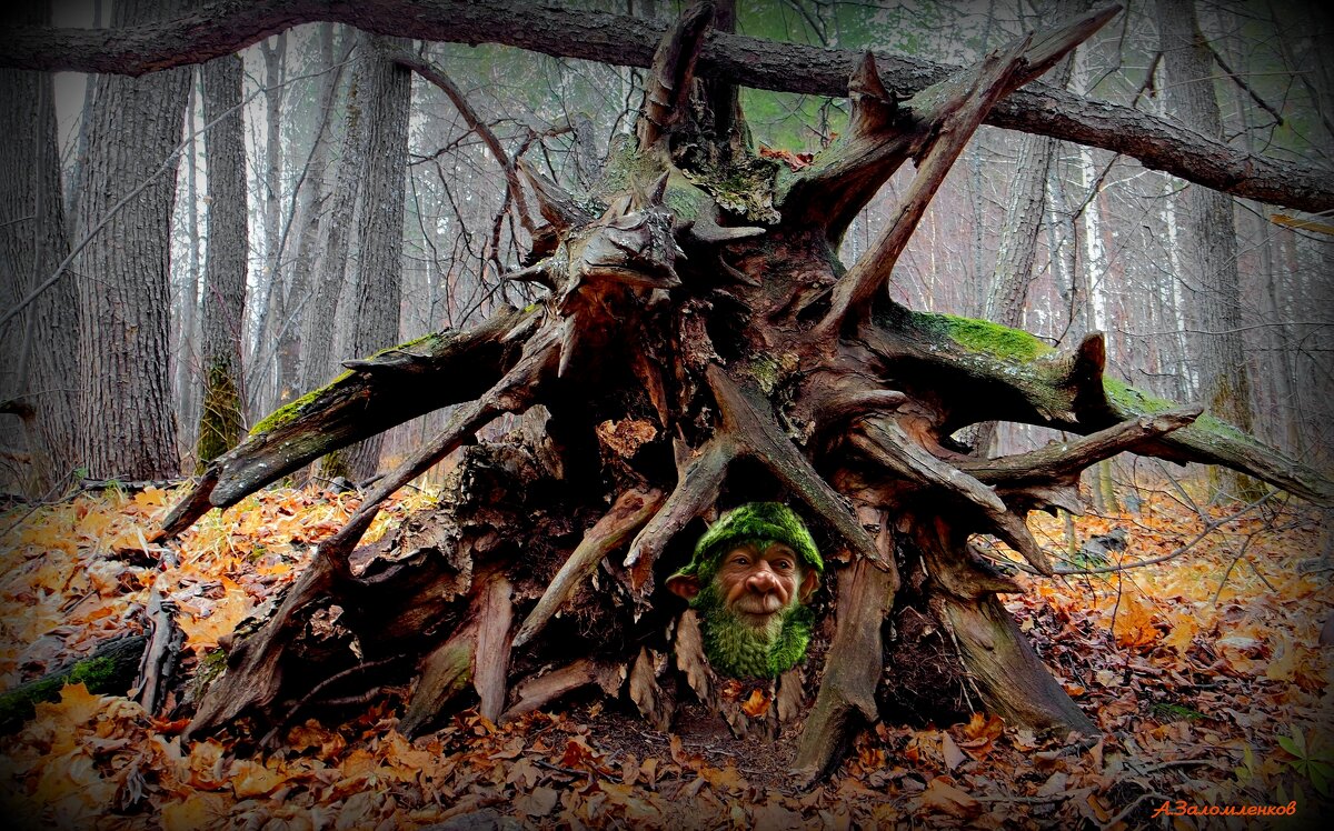 И вот уже уходят гномы на зимовку...:-) - Андрей Заломленков