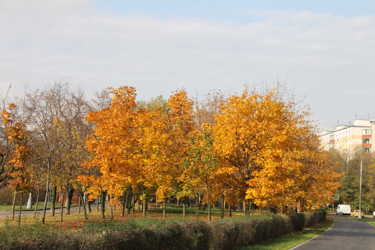 ОСЕННЯЯ ПОРА ОЧЕЙ ОЧАРОВАНЬЕ... - Валентина 