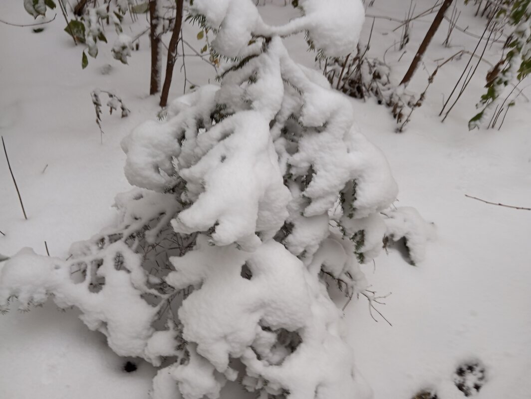 замело - Елена Семигина замело - Елена Семигина