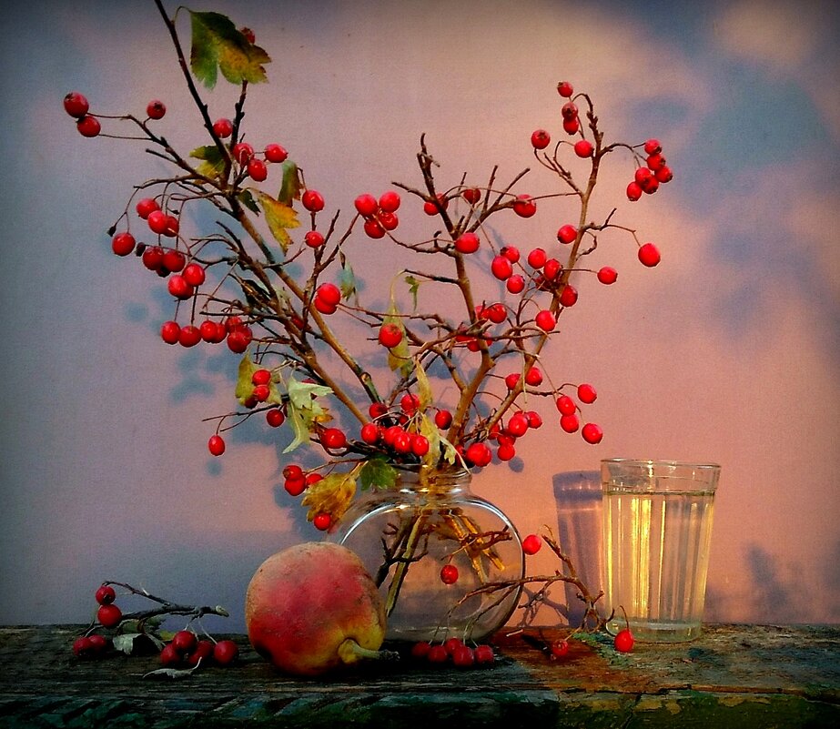 .. - TAMARA КАДАНОВА