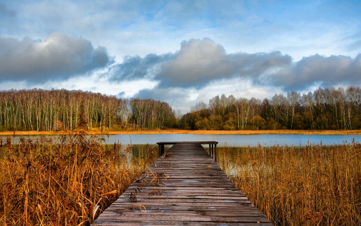 Мостки для ныряния в озеро. - Милешкин Владимир Алексеевич 