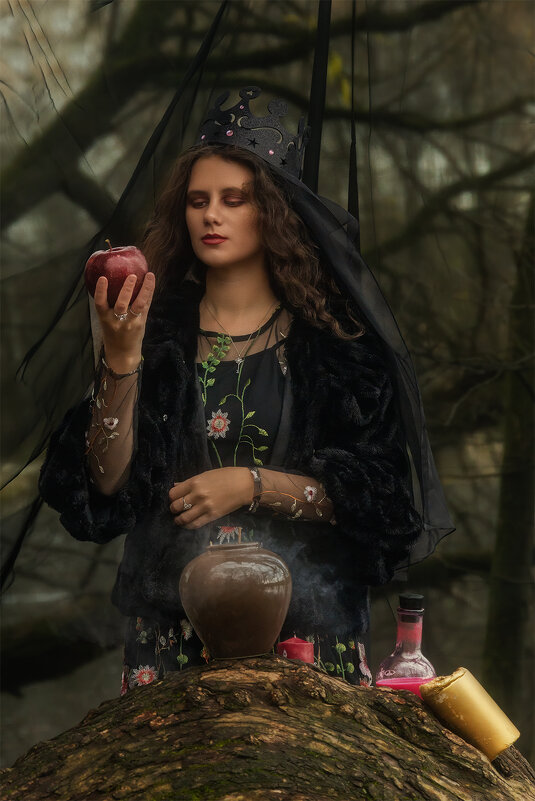 Сказки старого леса - Michel 