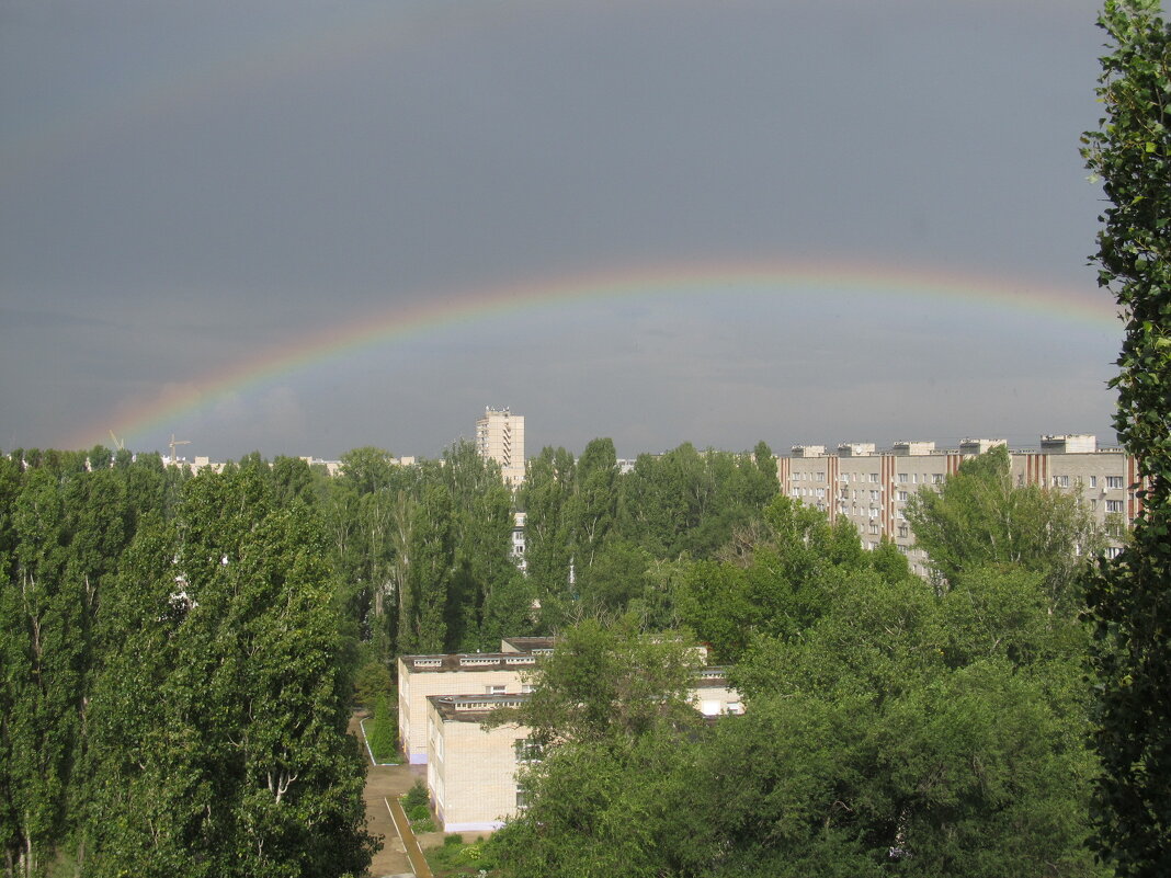 август - Елена Шаламова
