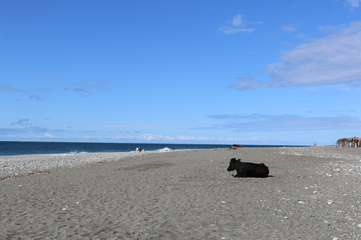 Осенний пляж - Ольга 