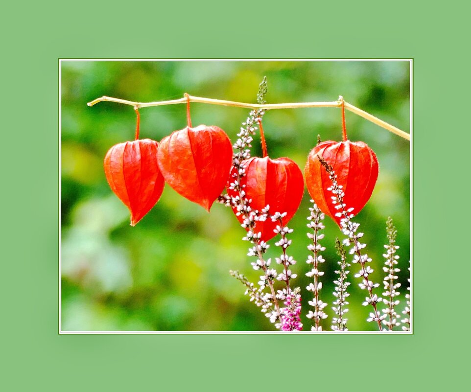 ЭТЮД... - Elvira E. 