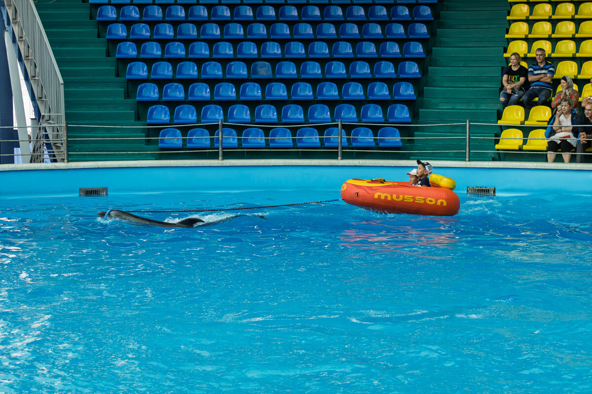 Дельфинарий в поселке Небуг - Игорь Сикорский