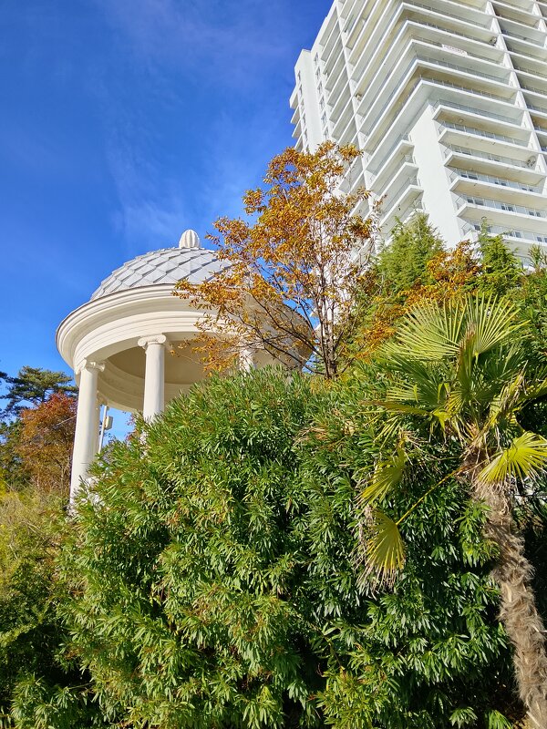 Приморский парк - Tata Wolf