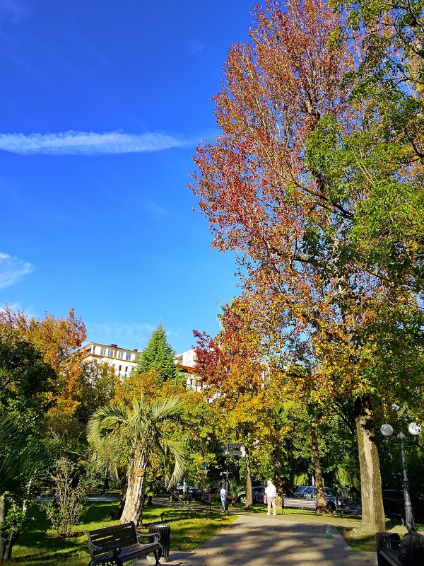 Приморский парк - Tata Wolf