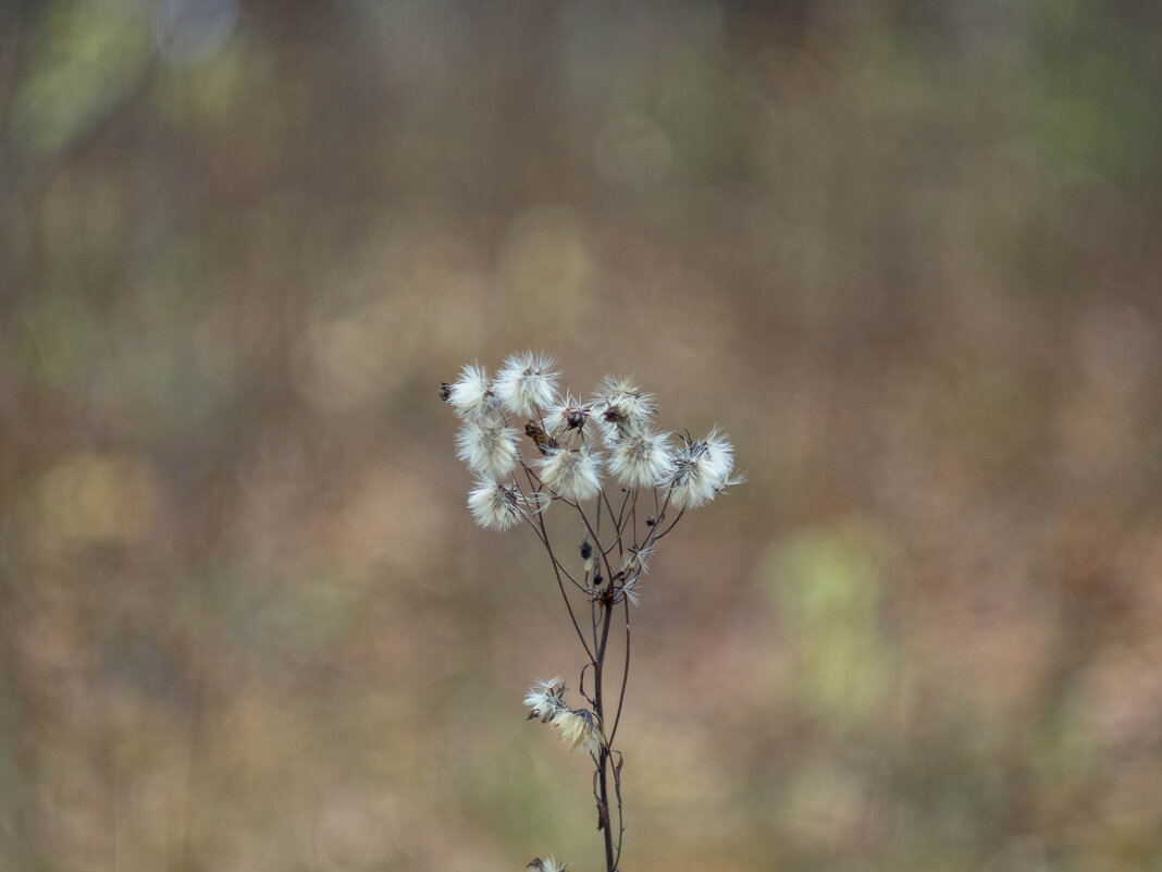 ___ - Yuriy V ___ - Yuriy V