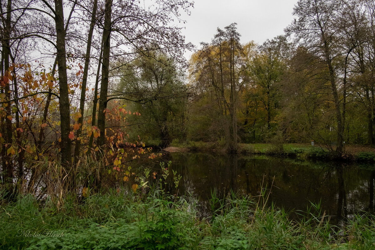 *** - Николай Гирш *** - Николай Гирш