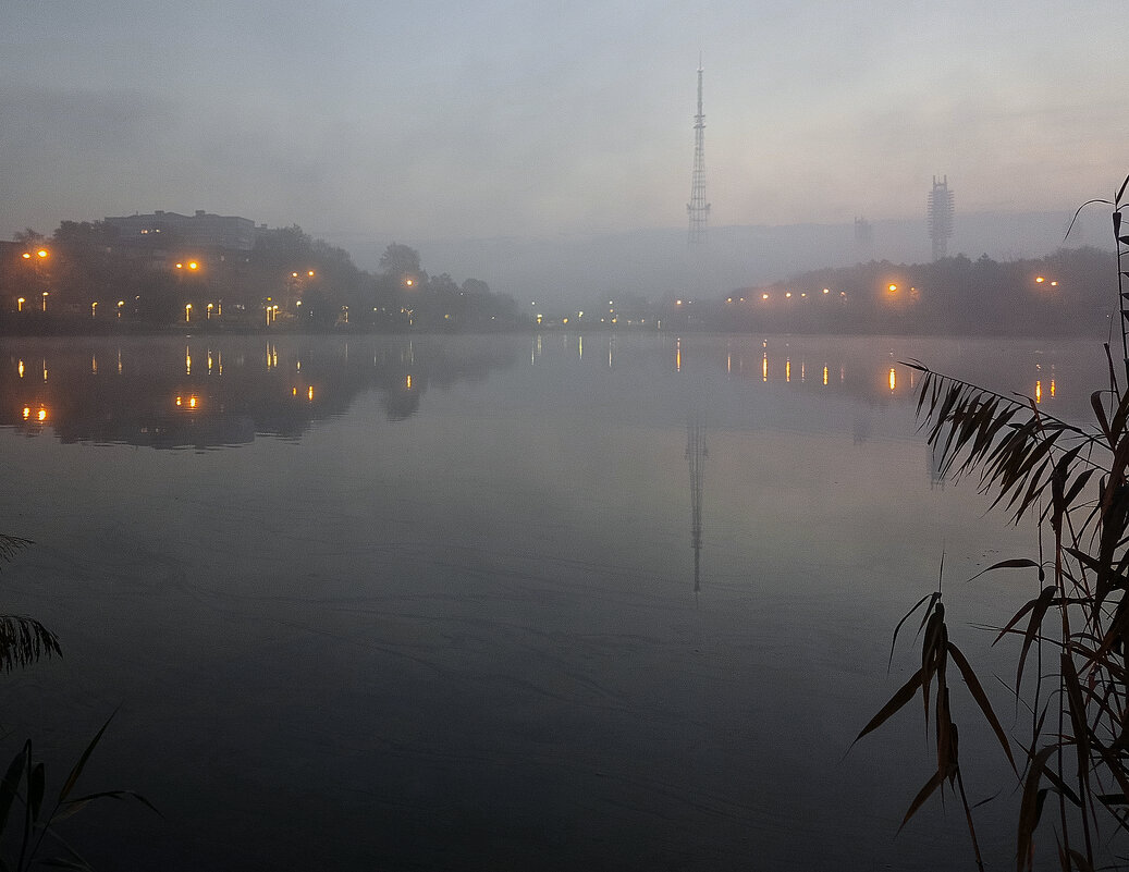 *** - Игорь Протасов