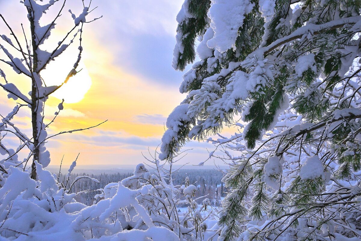- - Владимир Мигонькин