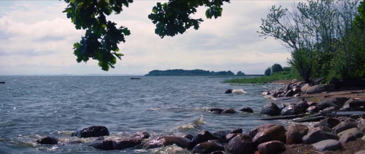 «Жгучая балтийская волна – это вам не прелести Ямайки...» - Михаил Андреев