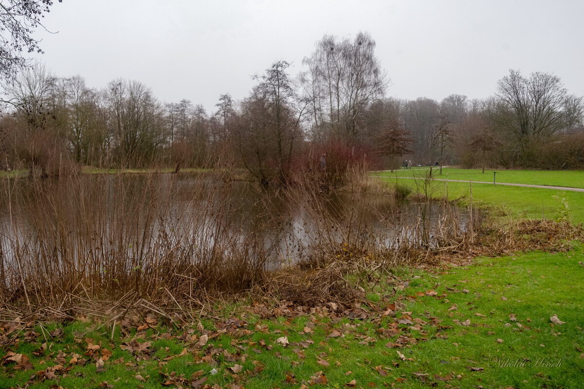 *** - Николай Гирш