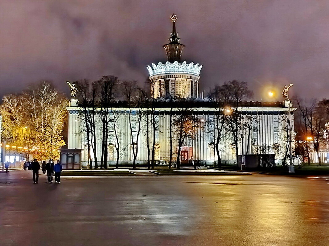 Павильон Земледелие - Александр Чеботарь