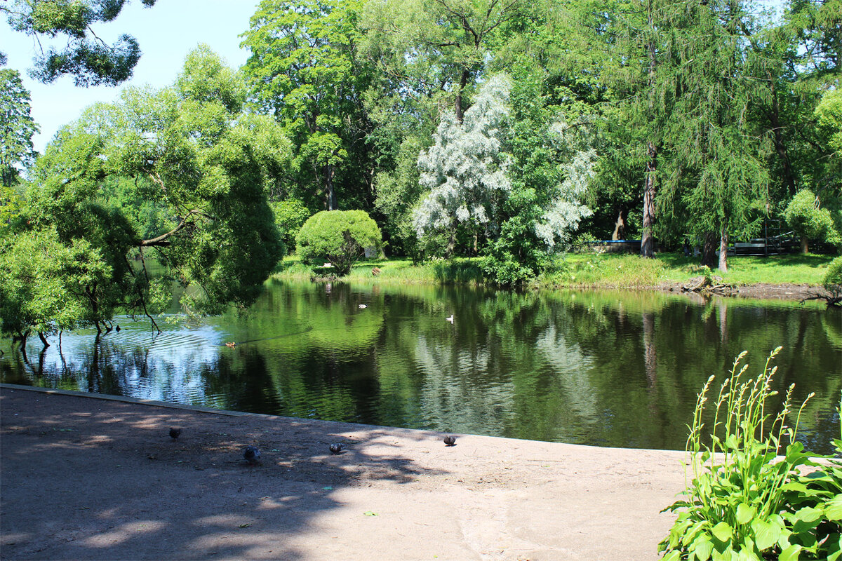 Парк на Елагином острове в Санкт-Петербурге. - Любовь ***