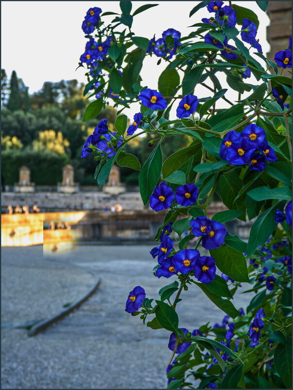 Теплый вечер - Наталья Rosenwasser Теплый вечер - Наталья Rosenwasser