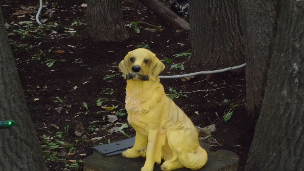 *** - СЕРГЕЙ ФИЛОЧКИН