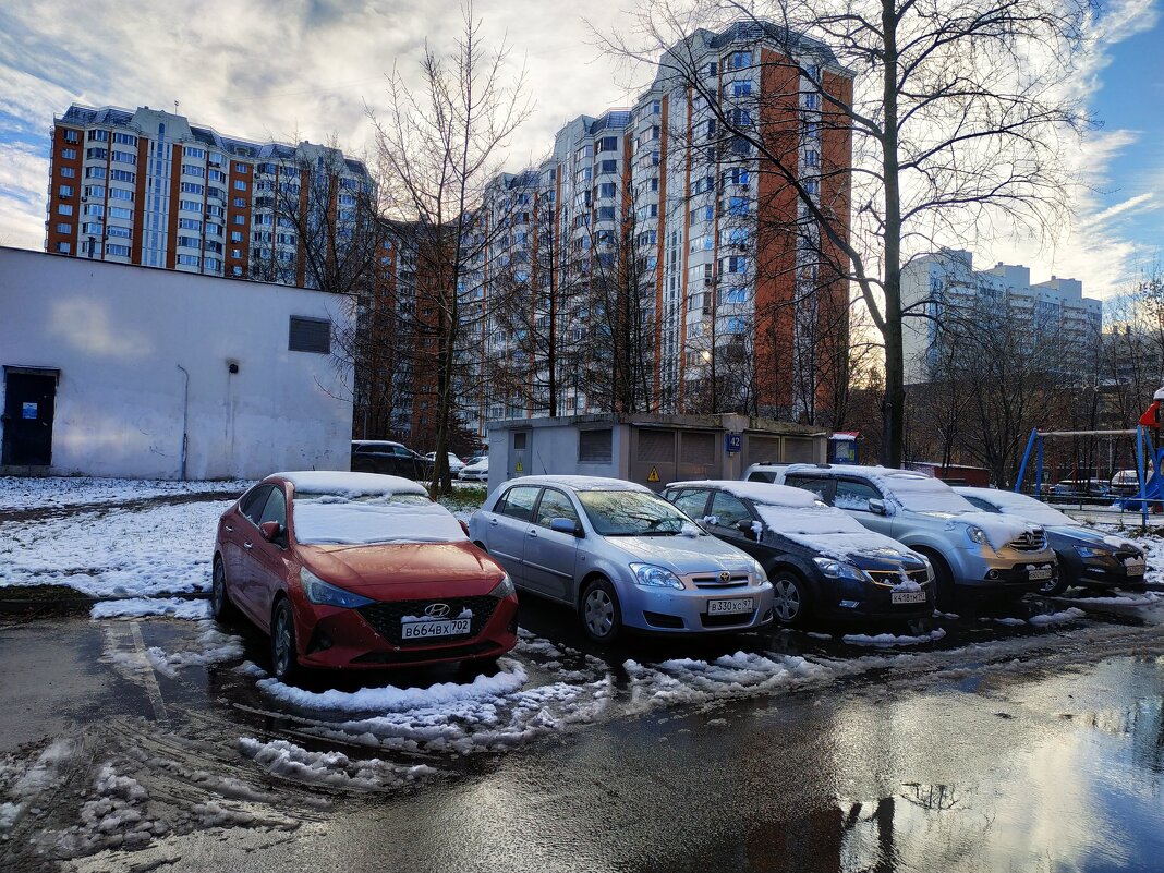 Предзимье в городе (фотодневник не юного натуралиста) - Андрей Лукьянов