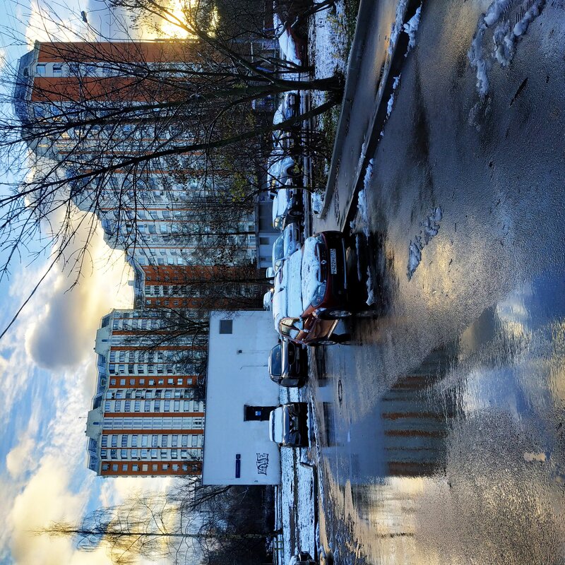Предзимье в городе (фотодневник не юного натуралиста) - Андрей Лукьянов
