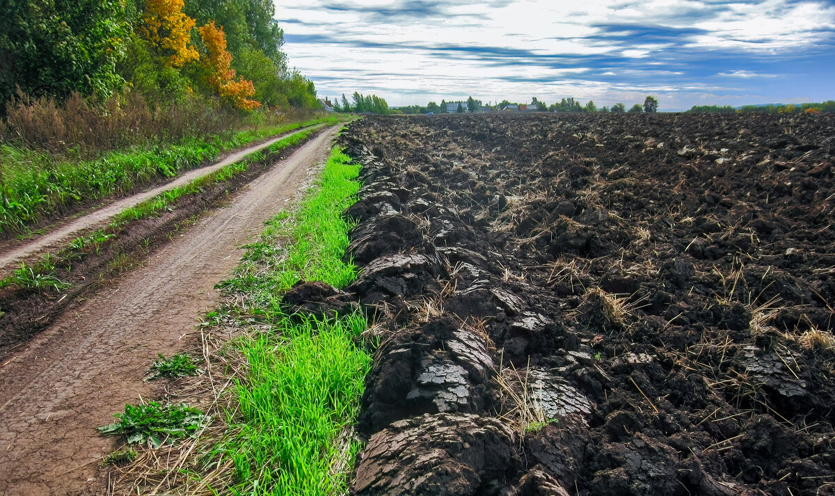 Земля - **** vedin