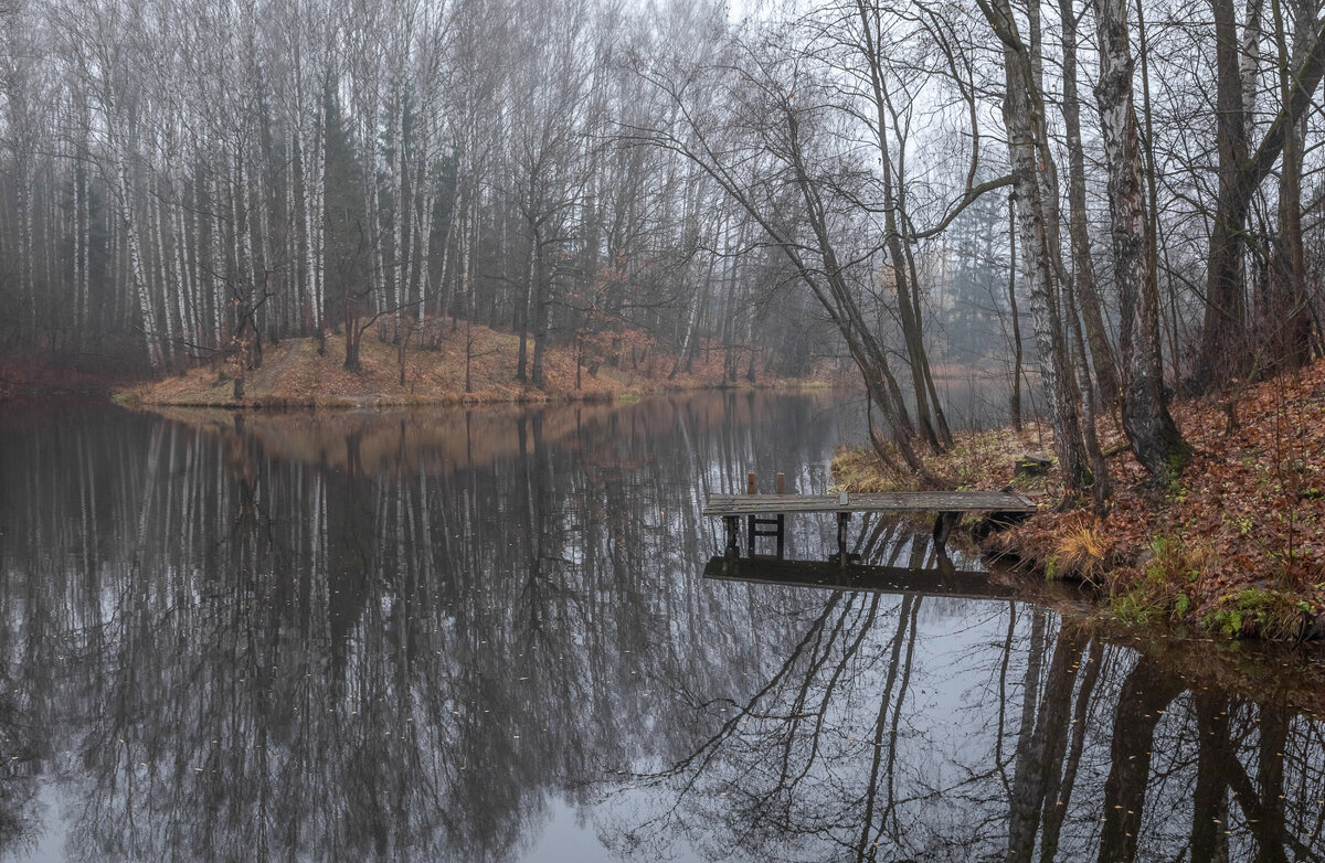 **** - Елизавета .