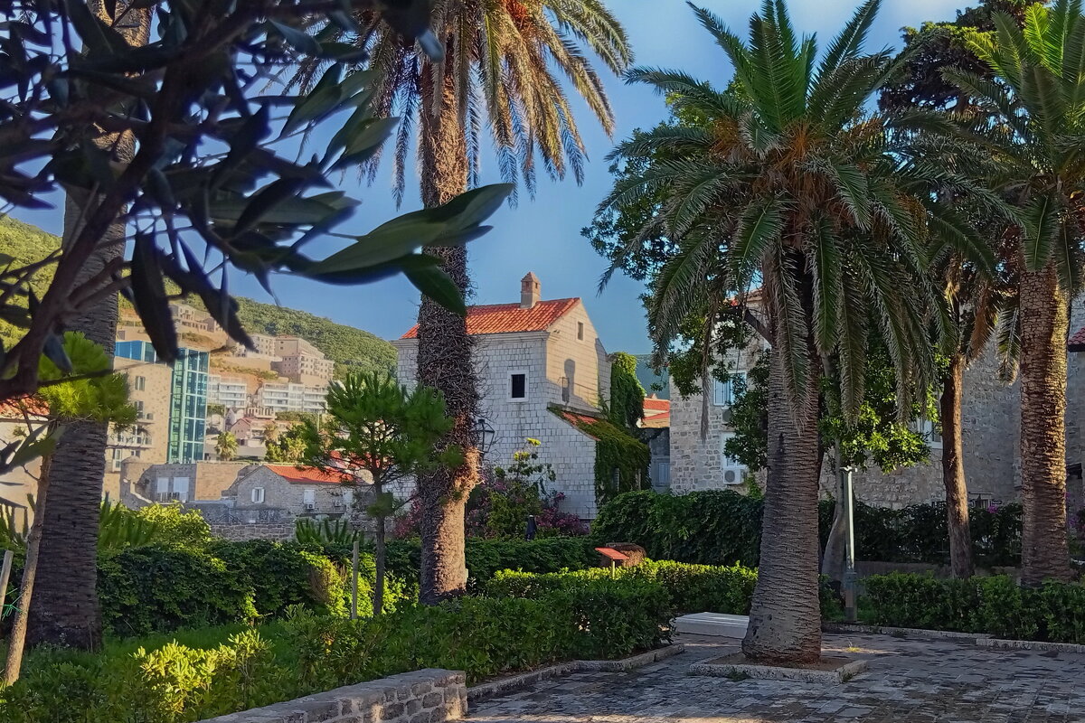 Утро в  Черногории.. - Татьян@ Ивановна