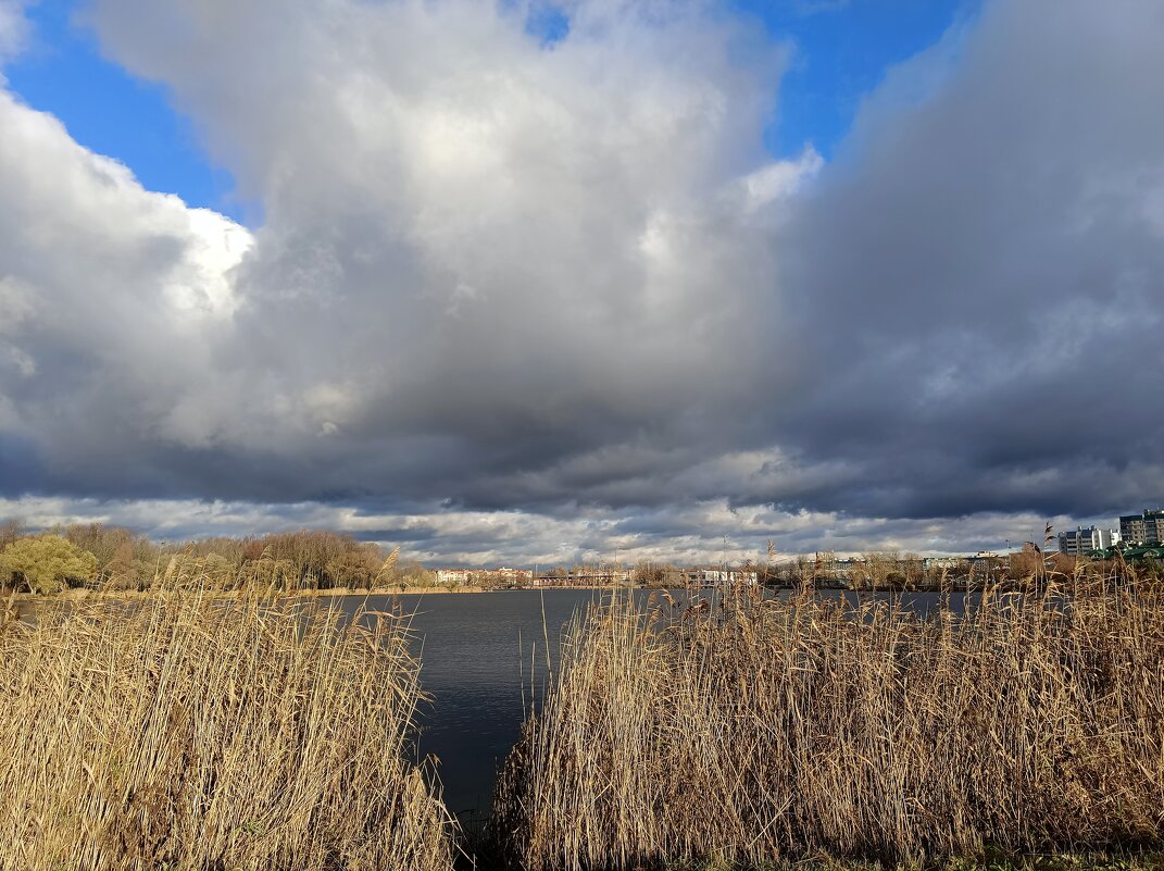 Небо в тучах... - Мария Васильева
