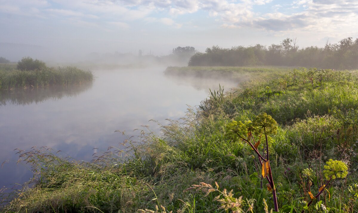 Туманное утро на реке Миасс. г. Миасс, Машгородок. - Алексей Трухин