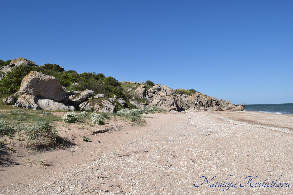 Природа Крыма - Amazing Cosmea