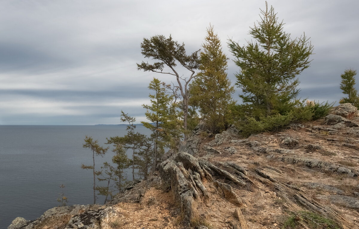 Берег Ольхона - Марина Фомина.